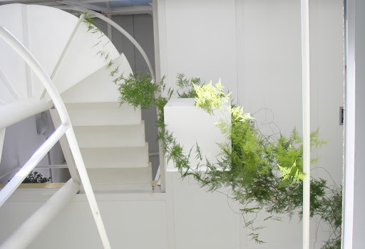 Lorenzo Alonso Architects - 