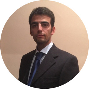 Lorenzo Piccioni - Italian Politician