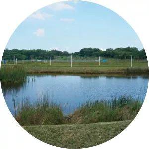 Lorong Halus Wetland - 