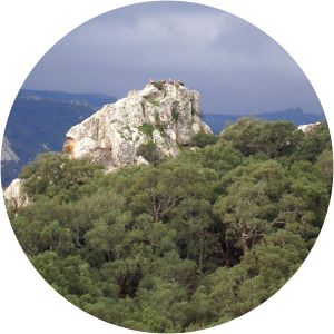 Los Alcornocales Natural Park - 