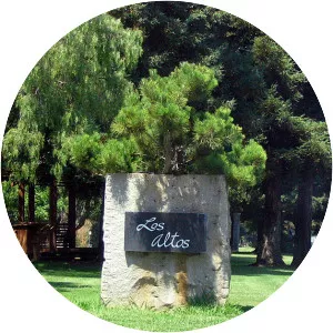 Los Altos