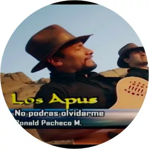 Los Apus del Perú - Musical artist
