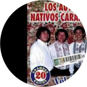 Los Autenticos Nativos Carapegueños - Musical artist