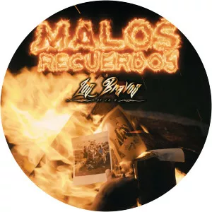 Los Bravos De La H - Musical artist