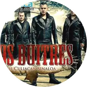 Los Buitres De Culiacan Sinaloa