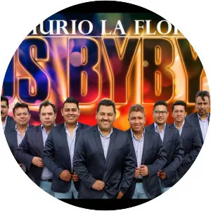 Los Bybys