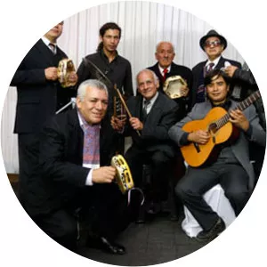 Los Chinganeros - Musical artist