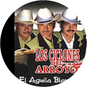 Los Ciclones Del Arroyo