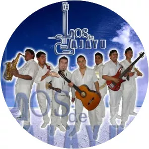 Los de Ajayu - Musical artist