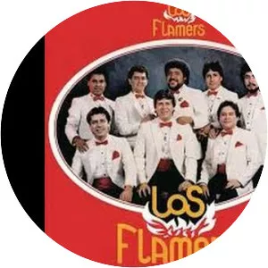Los Flamers