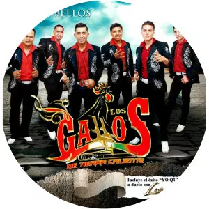 Los Gallos de Tierra Caliente