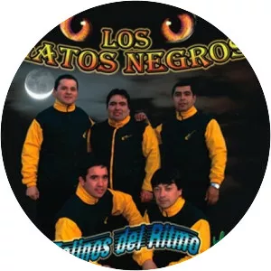Los Gatos Negros