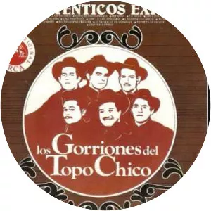 Los Gorriones del Topo Chico
