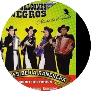 Los Halcones Negros