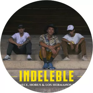 Los Hermanos Química - Musical artist