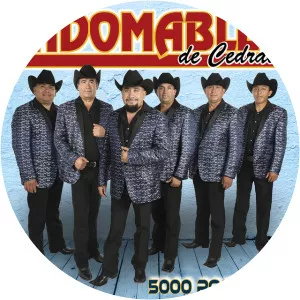 Los Hindomables De Cedral - Singer