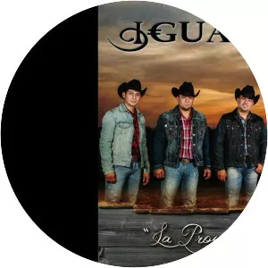 Los Igualados - Musical artist