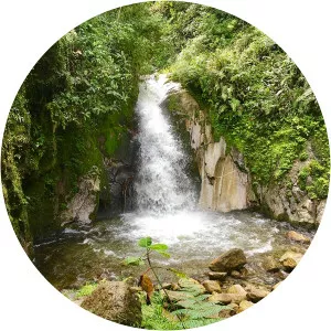 los jardines de mandor