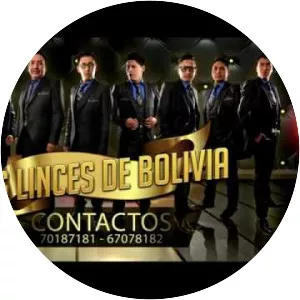 Los Linces de Bolivia - Musical artist