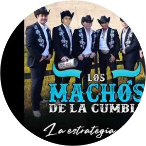 los machos como vos - Song by Los Machos de la Cumbia
