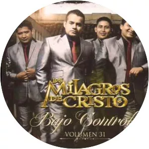 Los Milagros De Cristo