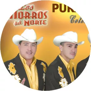 Los Morros del Norte