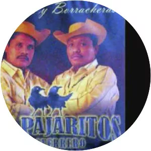 Los Pajaritos de Guerrero