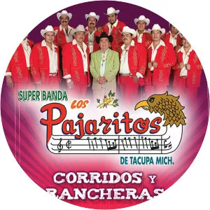 Los Pajaritos de Tacupa - Musical artist