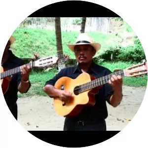 Los Pajaritos del Sur