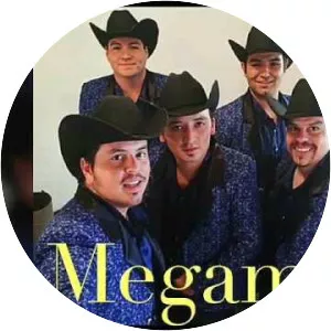 Los Potros del Sur - Musical artist