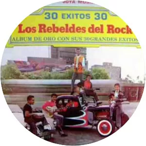 Los Rebeldes del Rock