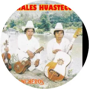 Los Regionales Huastecos - Musical artist