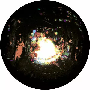 Los Reyes del Falsete