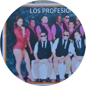 los roland's los profesionales