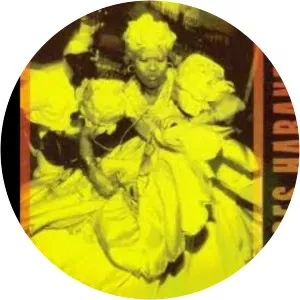 los rumberos de cuba raíces habaneras