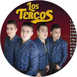 Los Tercos - Musical group