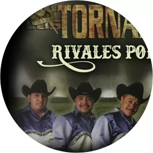 Los Tornadosde San Luis - Musical artist