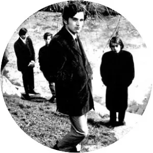 Los Vidrios Quebrados - Musical group