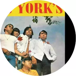 Los Yorks