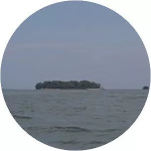 Lost Ballast Island - Island in Lake Erie