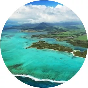 Lost Continent - 1951 ‧ Fantasy/Thriller ‧ 1h 24m