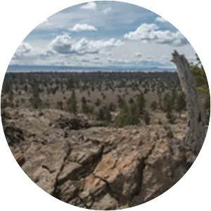 Lost Forest Research Natural Area