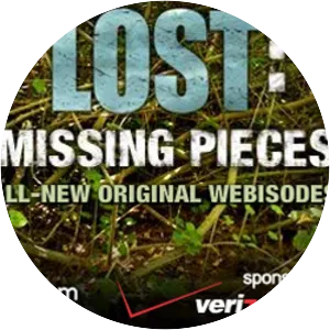 Lost: Missing Pieces