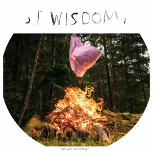 Lost Wisdom pt. 2 - Studio album by Julie Doiron and Mount Eerie