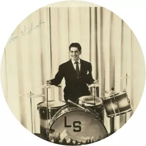 Lou Silvestri Musician