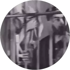 Louie Ludwig - Musical artist