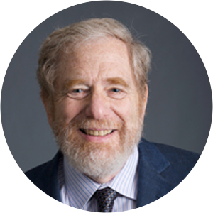 Louis Michael Seidman - Professor