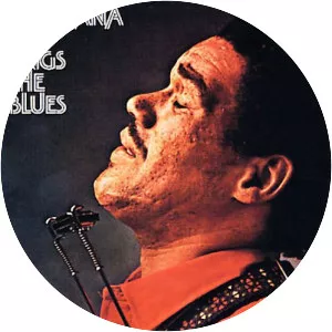 Louisiana Red - American guitarist