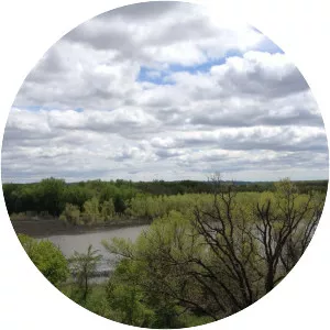 Louisville Swamp - Lake in Minnesota