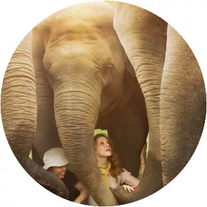 Love & Bananas: An Elephant Story